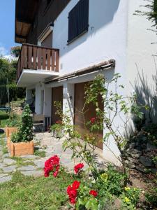 萨莱切Grand Studio cosy的庭院里鲜花盛开的房屋