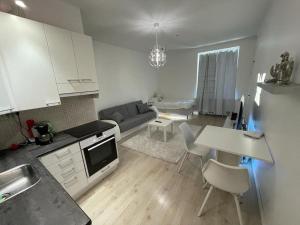 a kitchen and living room with a couch and a table at Smart 32m2 studio in a central location - Kallio in Helsinki