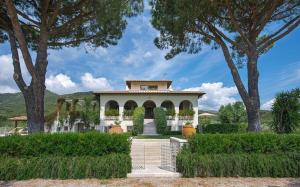 Κήπος έξω από το Villa Castiglione 14