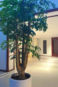 大同五福居 Five Blessings Hotel的相册照片