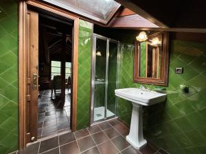 a green bathroom with a sink and a shower at Apartamentos La Casa de Tanes in Tanes +14 photos