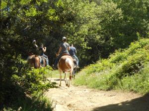 eine Gruppe von Menschen, die auf einem Feldweg reiten in der Unterkunft Casa Vacanze La Baghera in Lamporecchio