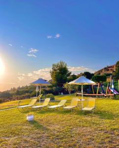 a group of lounge chairs and umbrellas in a field at Koumaros Villas in Agia Paraskevi +191 photos