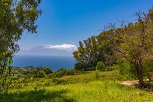 Naturlandskabet i nærheden af villaen
