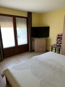 a bedroom with a bed and a flat screen tv at Casuta MARI in Săldăbagiu de Munte