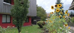 Zahrada ubytování INN-Studio Ursula