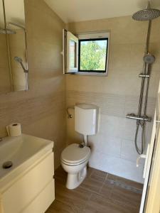 a bathroom with a toilet and a sink and a window at Casuta MARI in Săldăbagiu de Munte +19 photos