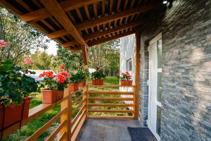 a porch with potted plants and a wooden pergola at Cabana Allegro in Moisei