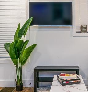 un salon avec une plante en pot et une table dans l'établissement Cornhill Apt Wfreeparkingkitchenwd, à Rochester 8 autres photos