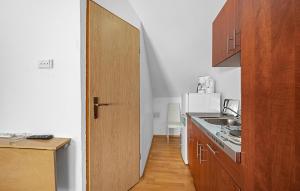 a kitchen with a sink and a wooden door at Stunning Apartment In Vodice in Vodice