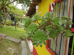 Zahrada ubytování Libélula finca-hotel