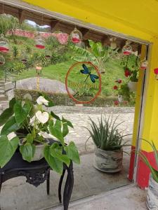Zahrada ubytování Libélula finca-hotel