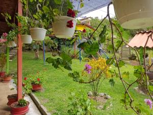 Zahrada ubytování Libélula finca-hotel