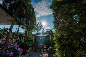 a garden with a table and chairs and the sun at Zacisze Zygmuntowo in Zygmuntowo
