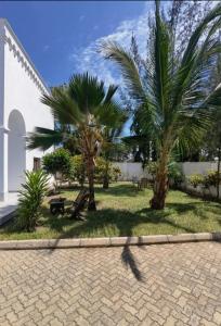 Κήπος έξω από το Clem Villa