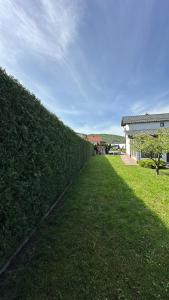 グラ・フモルルイにあるCasa Sabinの庭の中垣