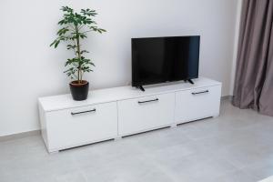 a tv on a white cabinet with a potted plant at Silver Moon Residence 3 in Arad
