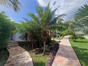 a pathway with palm trees next to a house at Maison charmante à Le Moule avec piscine partagée in Le Moule