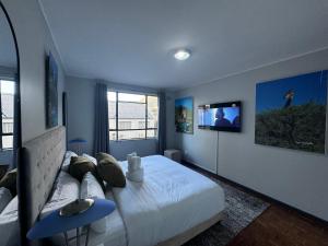 a bedroom with a large bed and a tv at HOPE-always in Cape Town