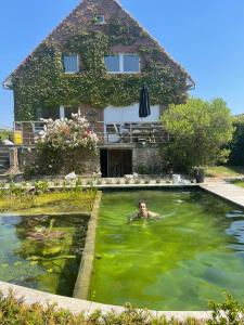 オーステンデにあるVilla in front of the sea with natural swimming pondの家の前のプールで泳ぐ男