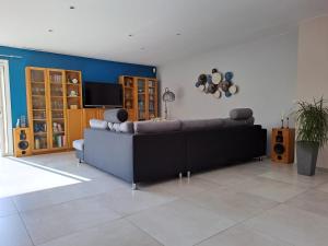 Televízia a/alebo spoločenská miestnosť v ubytovaní Belle villa avec piscine vue montagne à 10 mn de la mer à Argeles