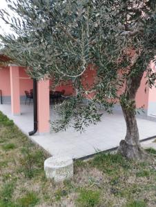 Κήπος έξω από το Apartmaji Paliska C1
