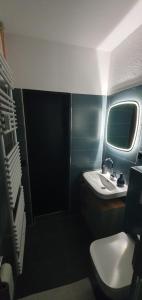 une salle de bain avec un lavabo et des toilettes dans l'établissement Moderne Ferienwohnung in Hahnenklee, à Hahnenklee 14 autres photos