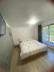 un dormitorio con una cama y una ventana en Cabana Briana, en Borşa
