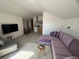 Una sala de estar con un sofá morado y un televisor. en Vas Dom, en Soko Banja