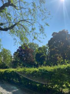 a path in a park with trees and the sky at Maisons Alfort - Cosy appartement in Maisons-Alfort