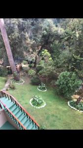 an aerial view of a garden with bushes and trees at Aconchegante Apartamento in Campos do Jordão +24 photos