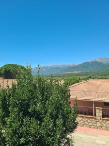 un arbre devant une maison avec des montagnes en arrière-plan dans l'établissement Chalet el castillo, à La Adrada