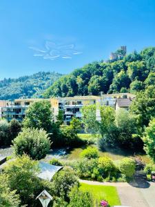a bird flying over a park with trees and buildings at Ferienwohnung Burgblick in Waldkirch +22 photos