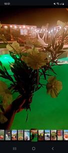 a vase filled with yellow flowers sitting next to a fence at LAS CASUARINAS CABAÑA Spa in Carmen de Areco +2 photos