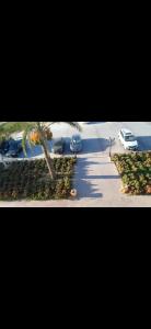 Fotografie z fotogalerie ubytování Porto Marina Residence v destinaci El Alamein