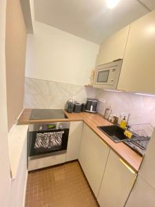 Kuchyň nebo kuchyňský kout v ubytování Studio centre ville