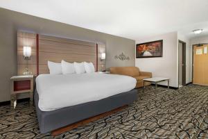 Postel nebo postele na pokoji v ubytování Best Western Plus Albert Lea I-90/I-35 Hotel