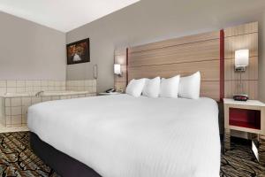 Postel nebo postele na pokoji v ubytování Best Western Plus Albert Lea I-90/I-35 Hotel