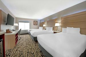 Postel nebo postele na pokoji v ubytování Best Western Plus Albert Lea I-90/I-35 Hotel + 34 fotografií