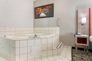 Koupelna v ubytování Best Western Plus Albert Lea I-90/I-35 Hotel