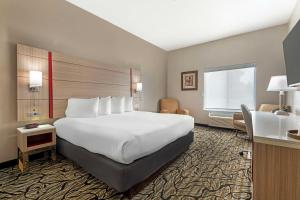 Postel nebo postele na pokoji v ubytování Best Western Plus Albert Lea I-90/I-35 Hotel