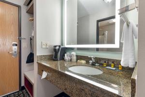 Koupelna v ubytování Best Western Plus Albert Lea I-90/I-35 Hotel