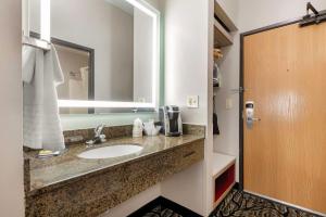 Koupelna v ubytování Best Western Plus Albert Lea I-90/I-35 Hotel