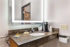 Koupelna v ubytování Best Western Plus Albert Lea I-90/I-35 Hotel