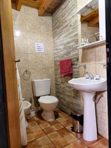 un baño con inodoro y lavabo en Deseo de Montaña, en Maipú