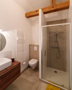 a bathroom with a shower and a toilet and a sink at Grange moderne près de Rennes avec jolie vue ! in Gévezé +28 photos