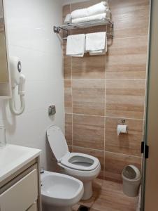 a small bathroom with a toilet and a sink at Hotel San Martín in Mendoza
