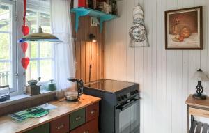 eine Küche mit Herd und Arbeitsplatte in der Unterkunft Awesome Home In Namsskogan in Namsskogan