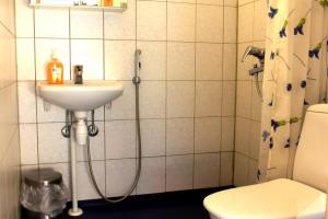a bathroom with a shower with a sink and a toilet at Koskikievari in Lappajärvi +13 photos