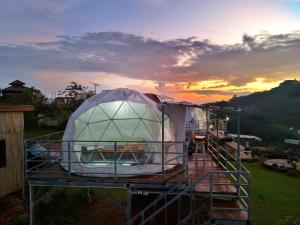 Příroda nedaleko luxury tent